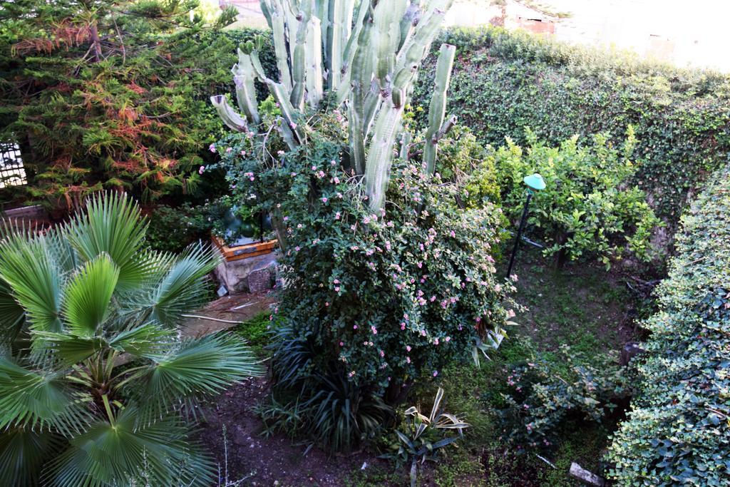 Artroom Garden Noto Luaran gambar