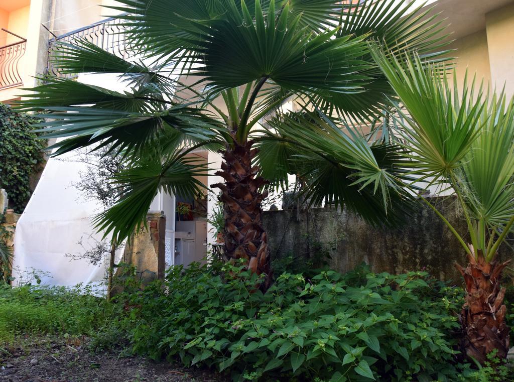 Artroom Garden Noto Luaran gambar